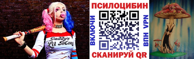 мега зеркало  Беслан  Псилоцибиновые грибы Psilocybine cubensis  где можно купить  